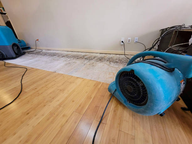 Professional Flood Damage Cleanup technician working in Menno, SD